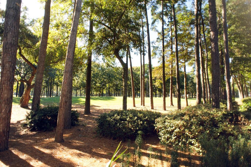 Pawleys Plantation Golf & Country Club Hotel Pawleys Island Exterior foto