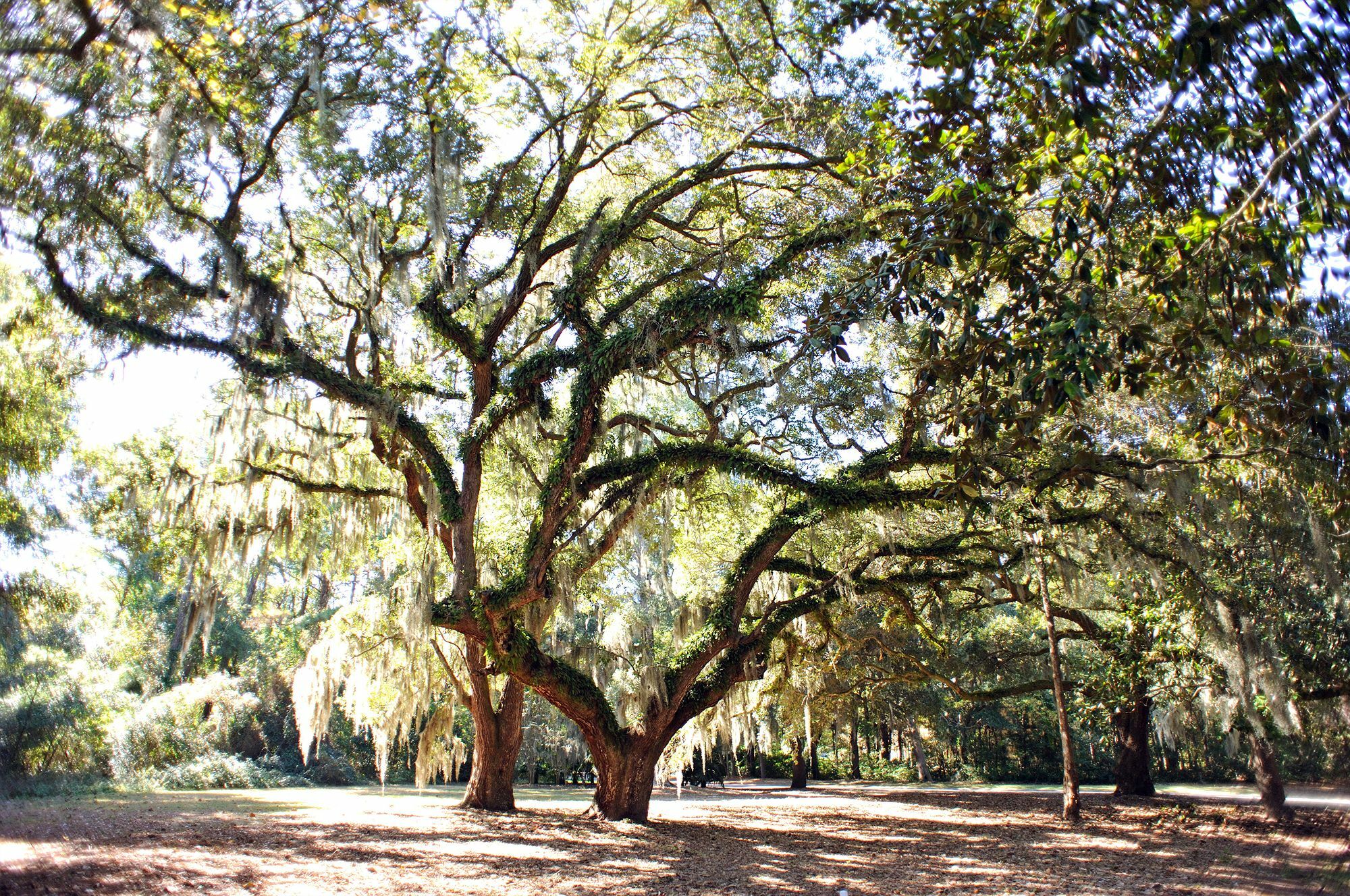 Pawleys Plantation Golf & Country Club Hotel Pawleys Island Exterior foto